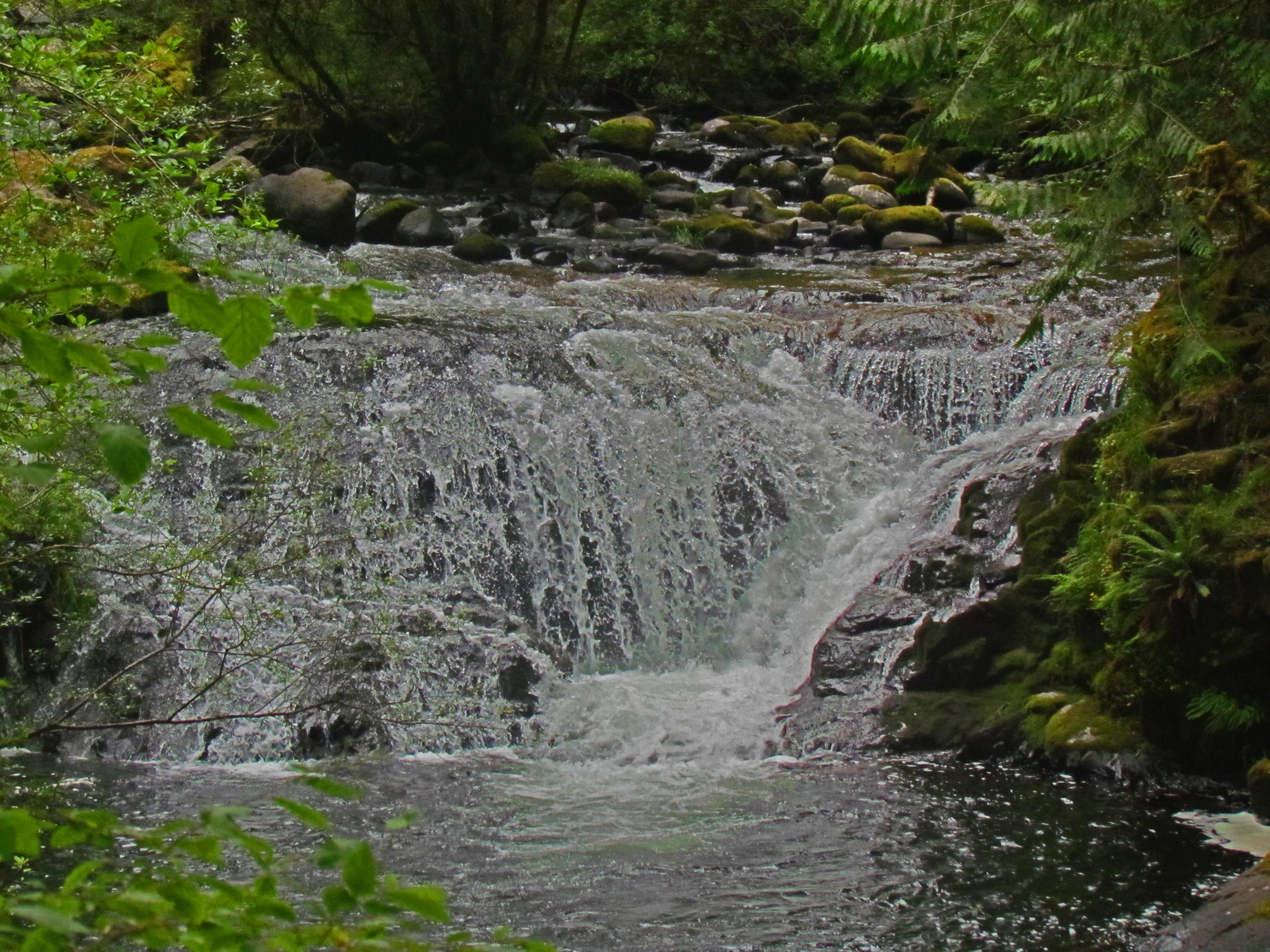 Sweet Creek Falls Trailhead