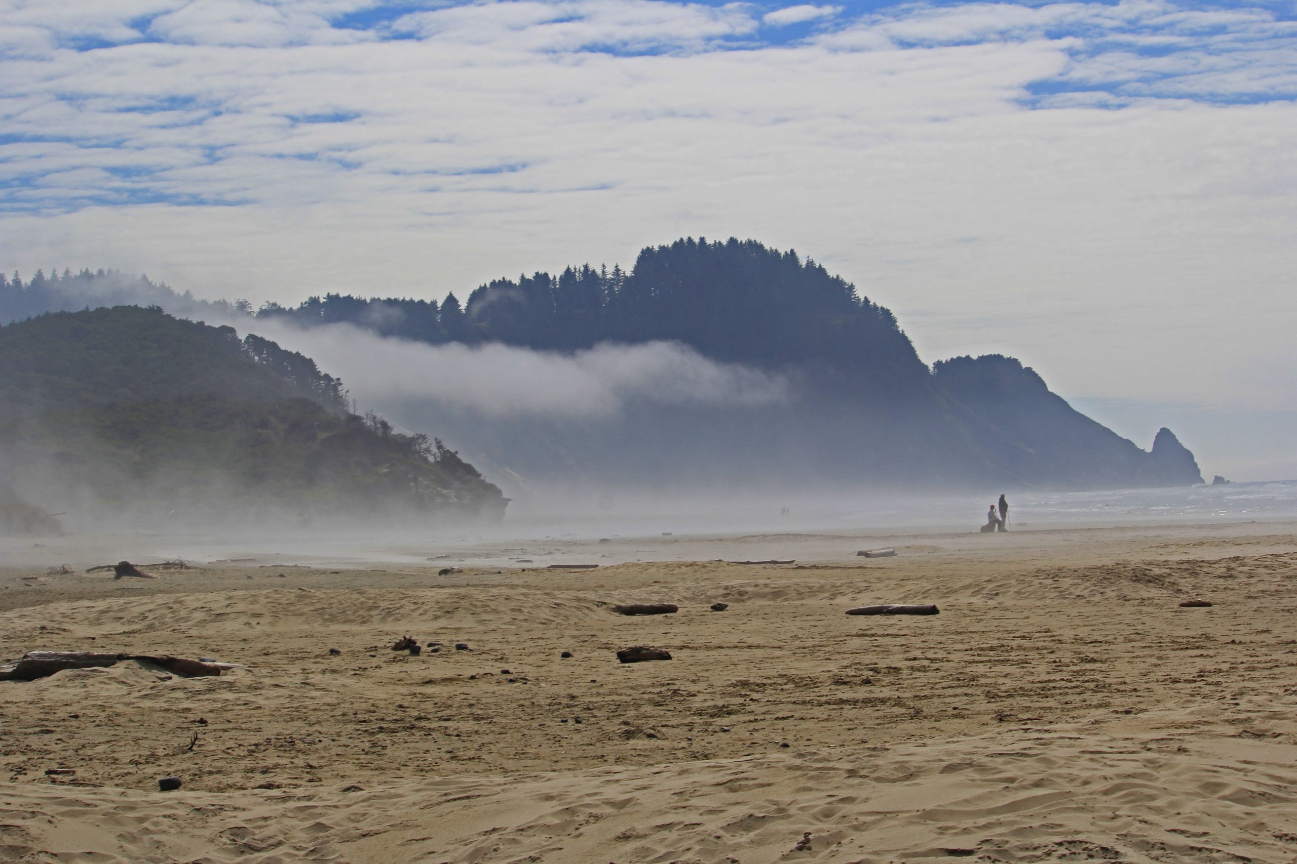 Low Clouds, Foggy, Misty Oregon Coast