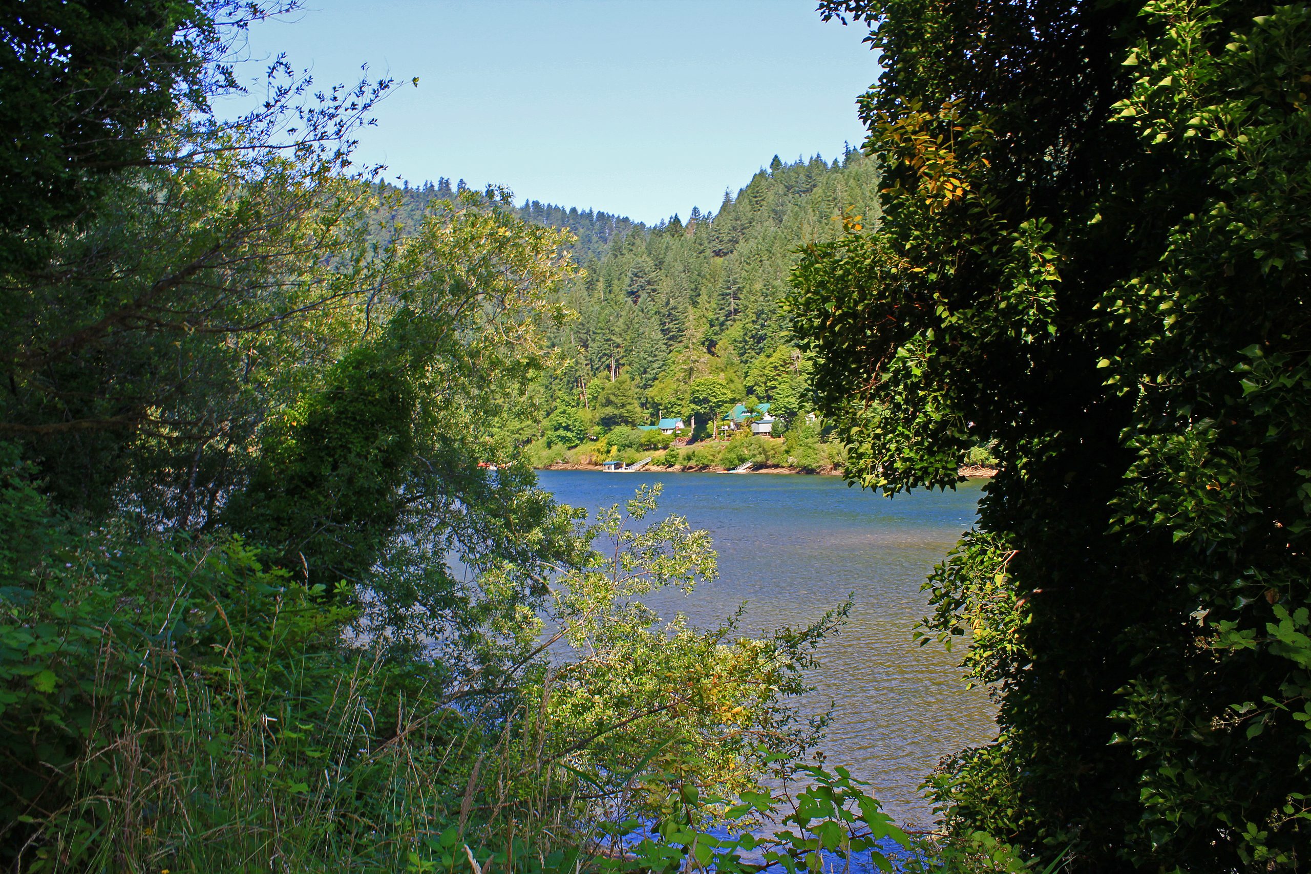 Scottsburg County Park,  Oregon