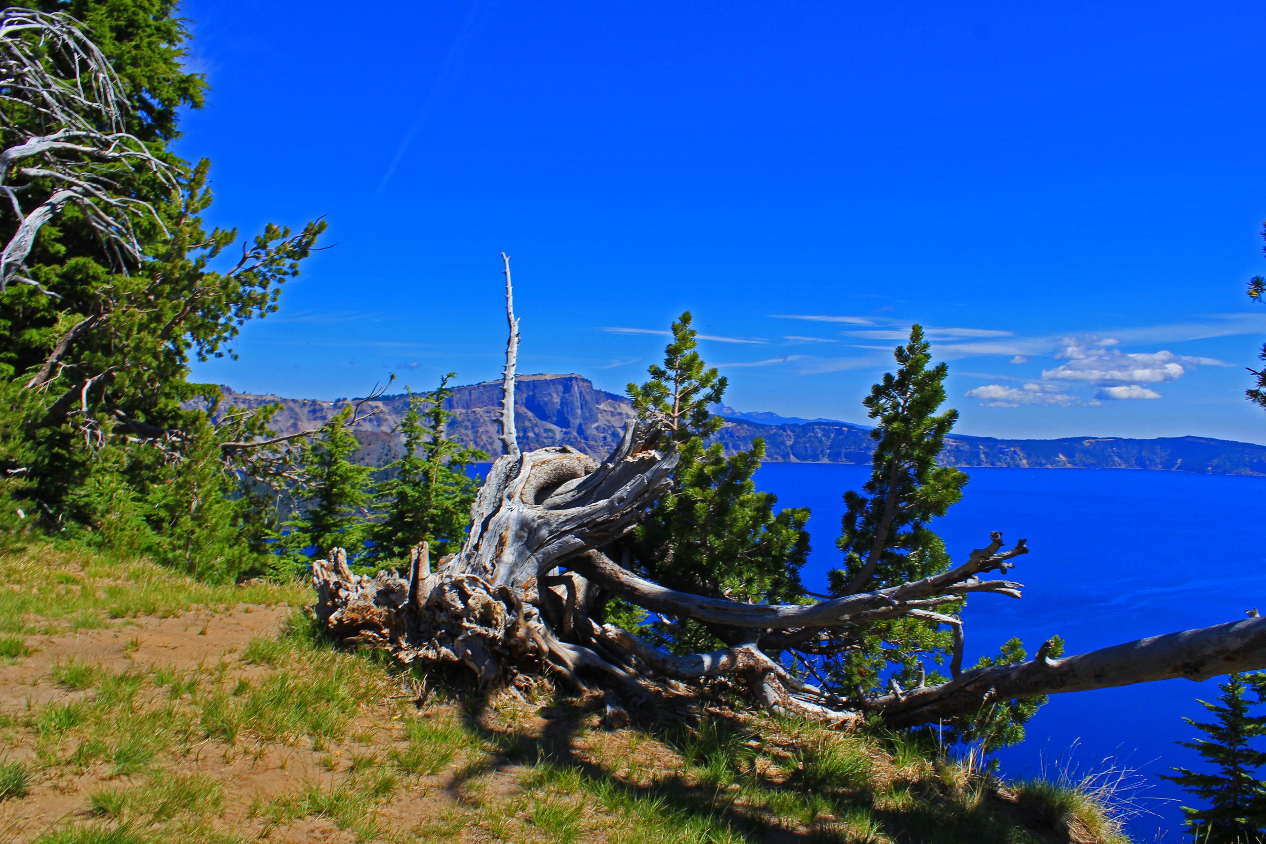 Crater Lake Area    July 2023